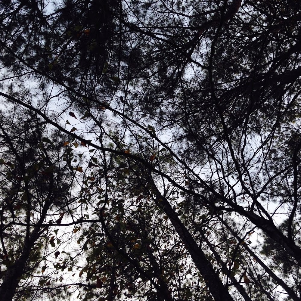 Meet your Posher, Macy